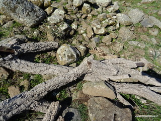 Monte Gancio